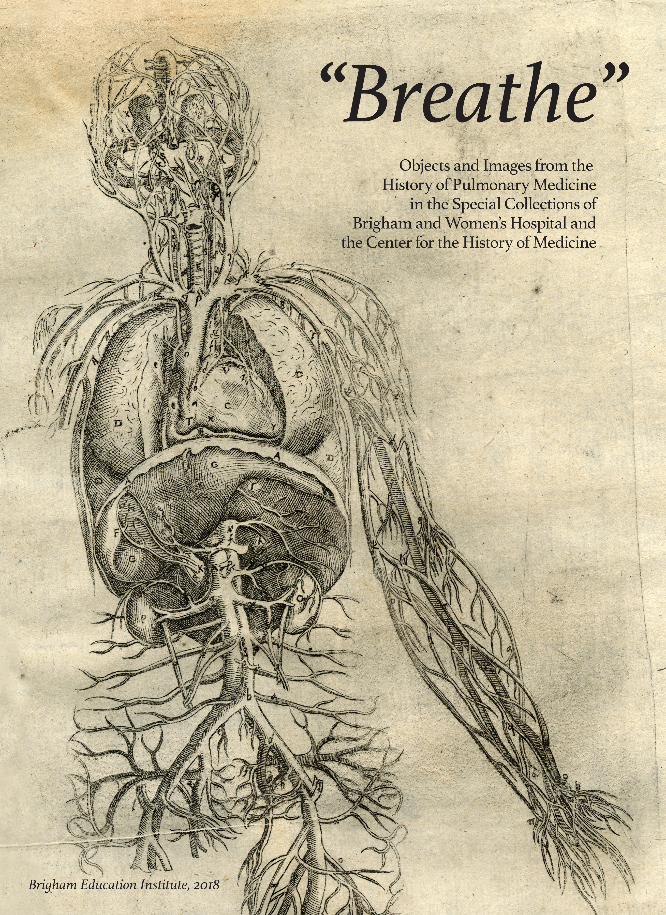 Poster background is a copy of a wood cut from the book Anatomia Deudsch, ein kurtzer Auszug der Beschreibung aller glider menschlichs… by Andreas Vesalius, 1551 ed.