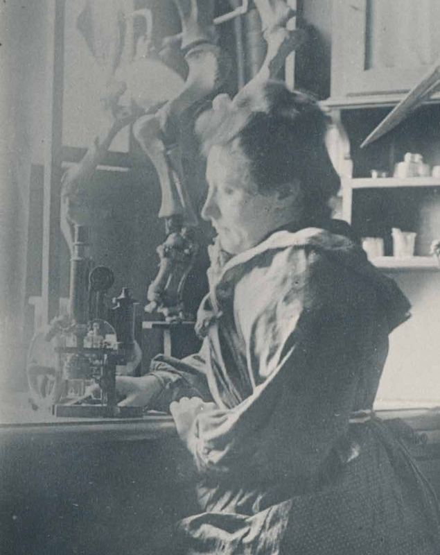 Ida Henrietta Hyde in her laboratory at the University of Heidelberg, 1896