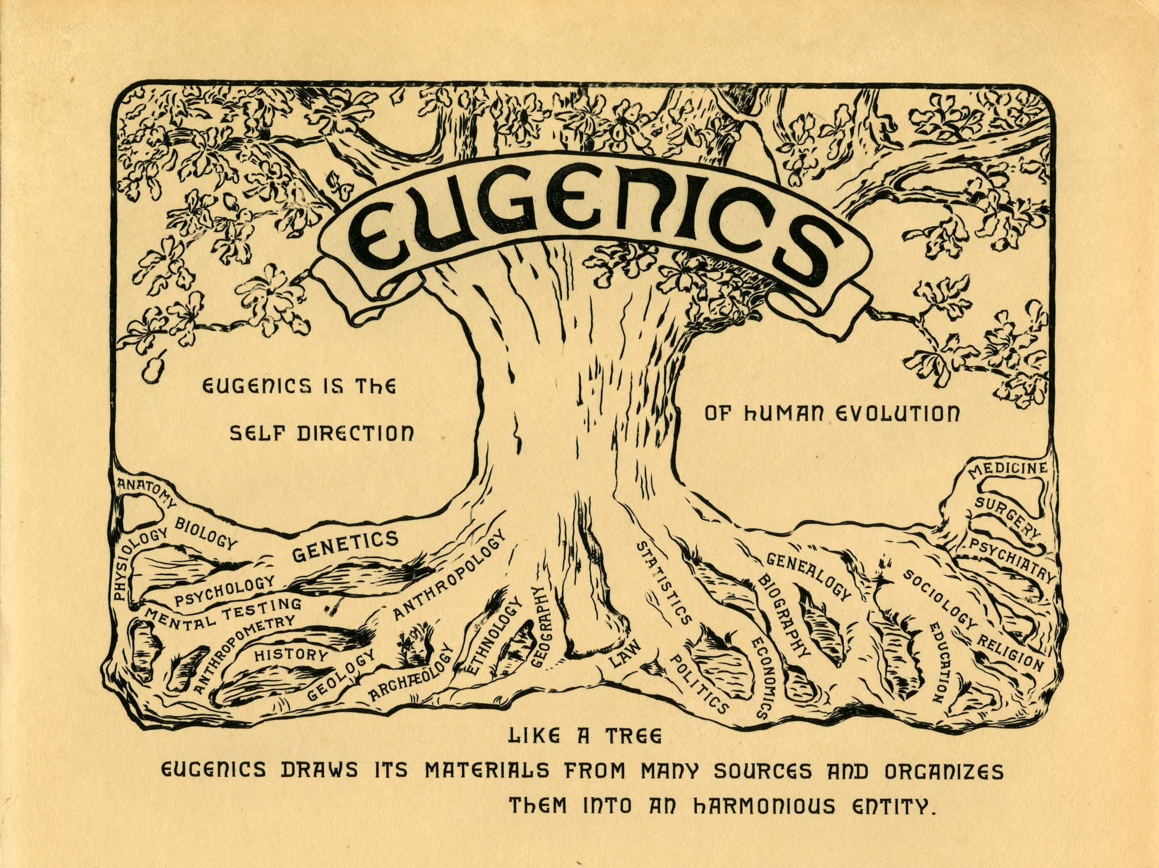 Certificate Of Appreciation From The Second International Congress Of Eugenics · Onview
