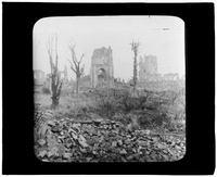 Stripped trees and damaged buildings