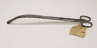 Curved polypus forceps, 1850-1880