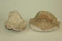 Dickinson-Belskie female pubic bone mold, 1939-1950