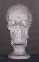 Phrenology cast of skull of Johann Gaspar Spurzheim, 1848
