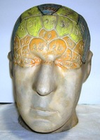 Phrenology cast of head with numerological map of faculties, 1812-1847