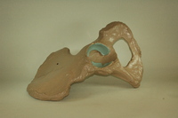 Dwight-Emerton papier-mache model of left pelvis, 1890-1895