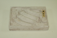 Dickinson-Belskie model of male genitalia, 1939-1950