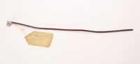 Elastic gum urinary probe, 1850-1880